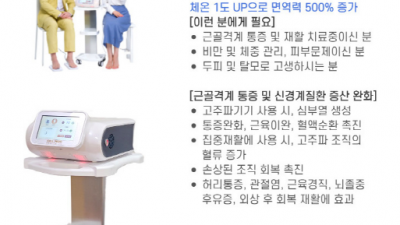 다나아 고주파 기계 (전기마사지기)